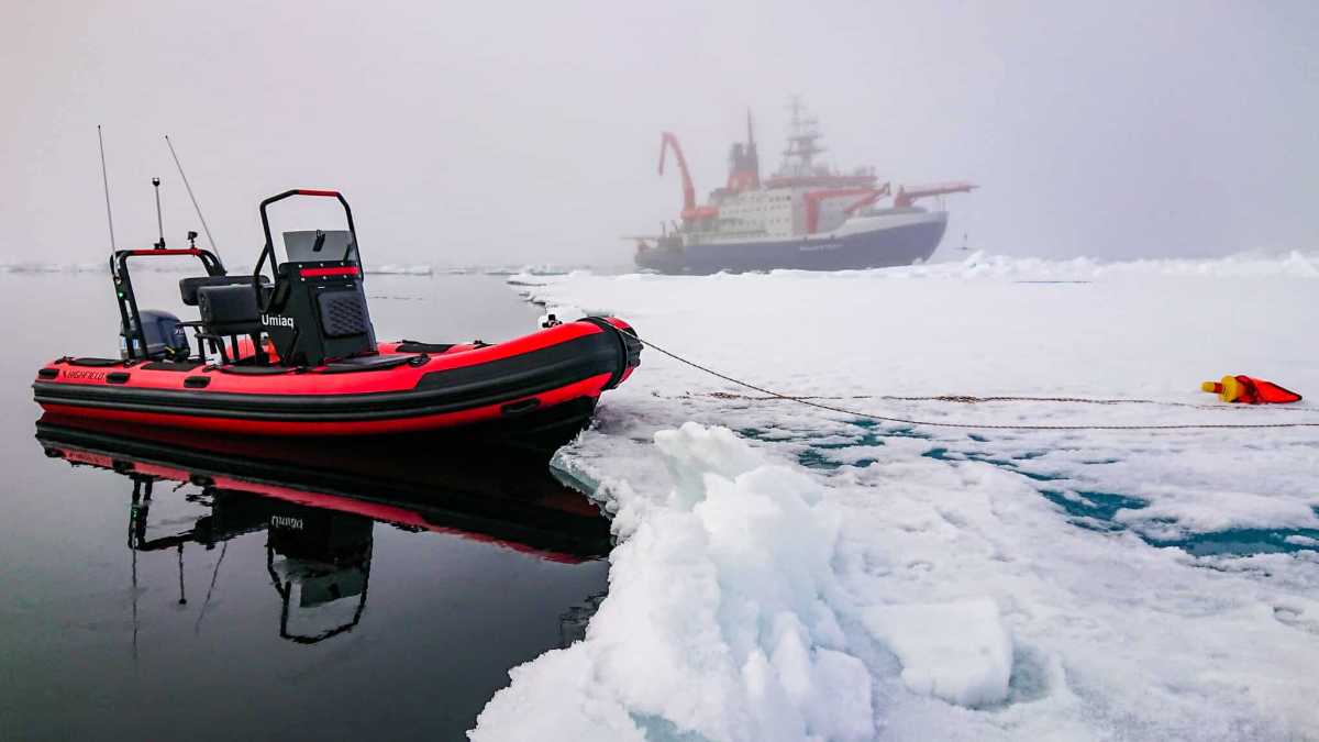 Highfield Patrol 500