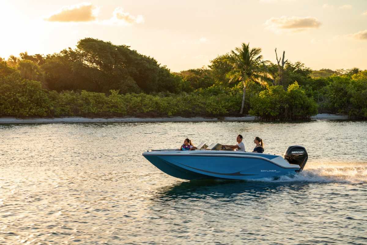 Bayliner Element M17