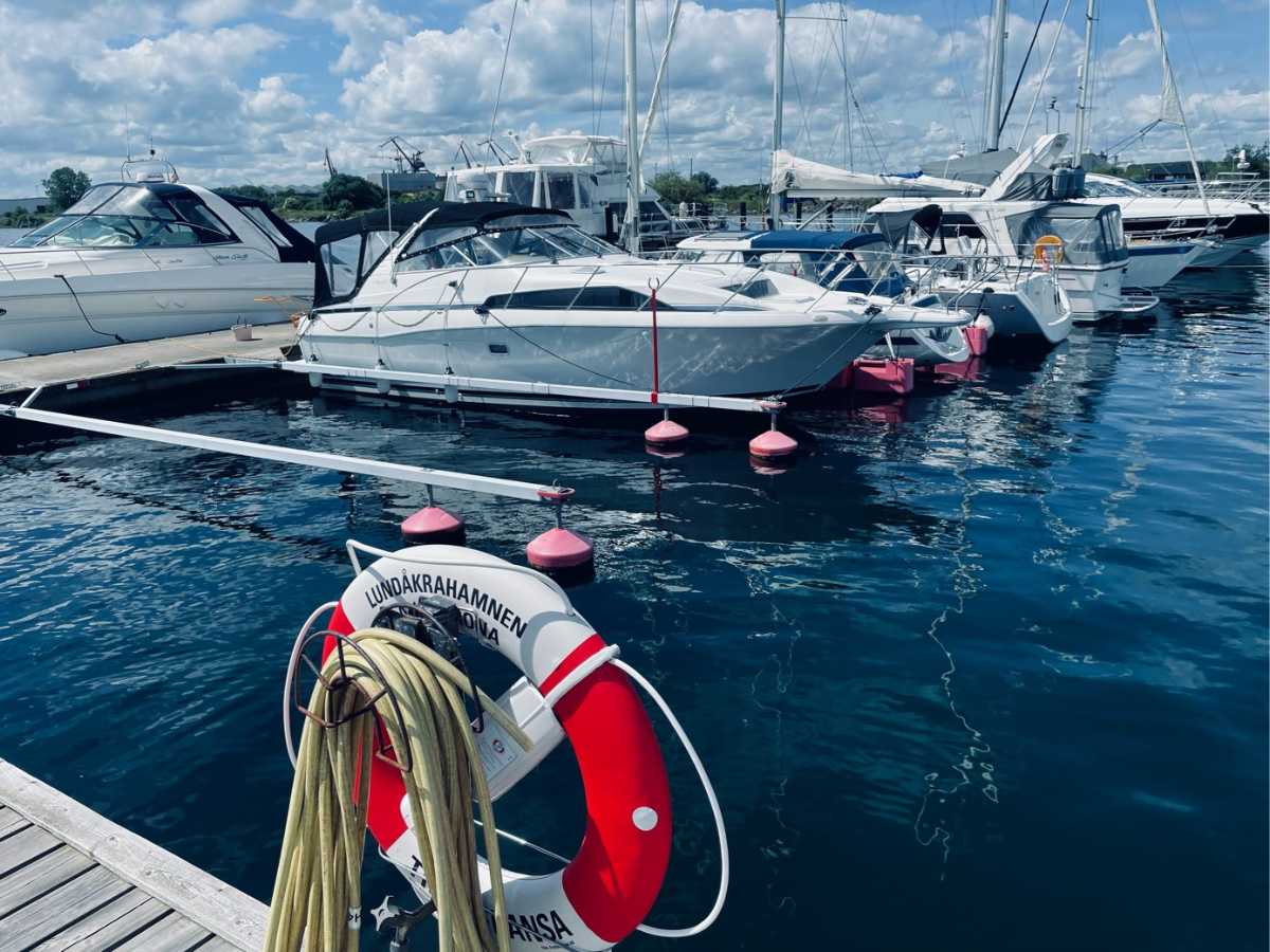 Bayliner 3250 Avanti Sunbridge
