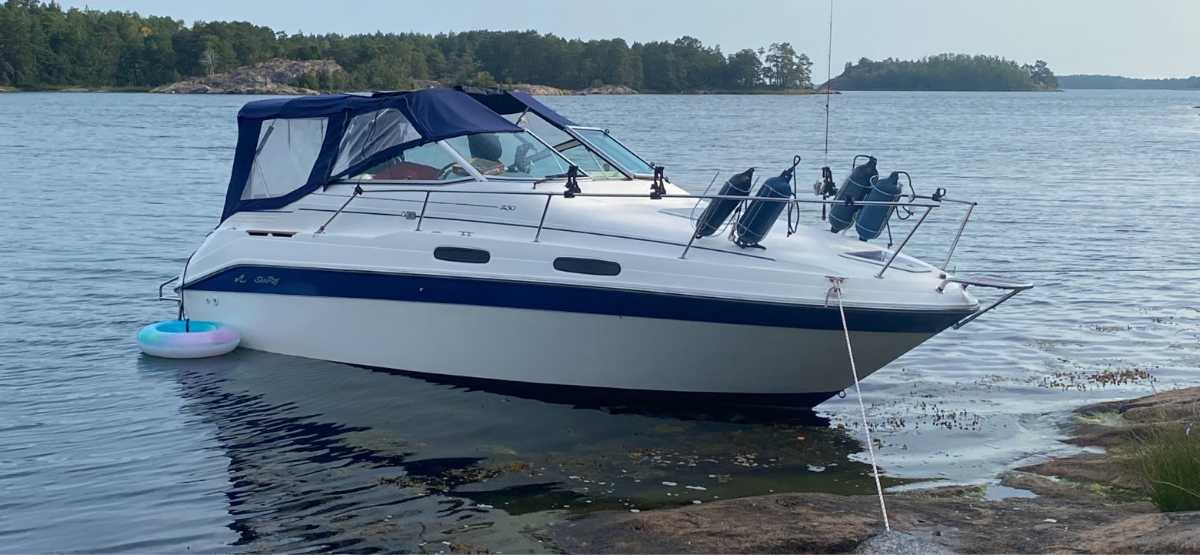Sea Ray 230 Sundancer