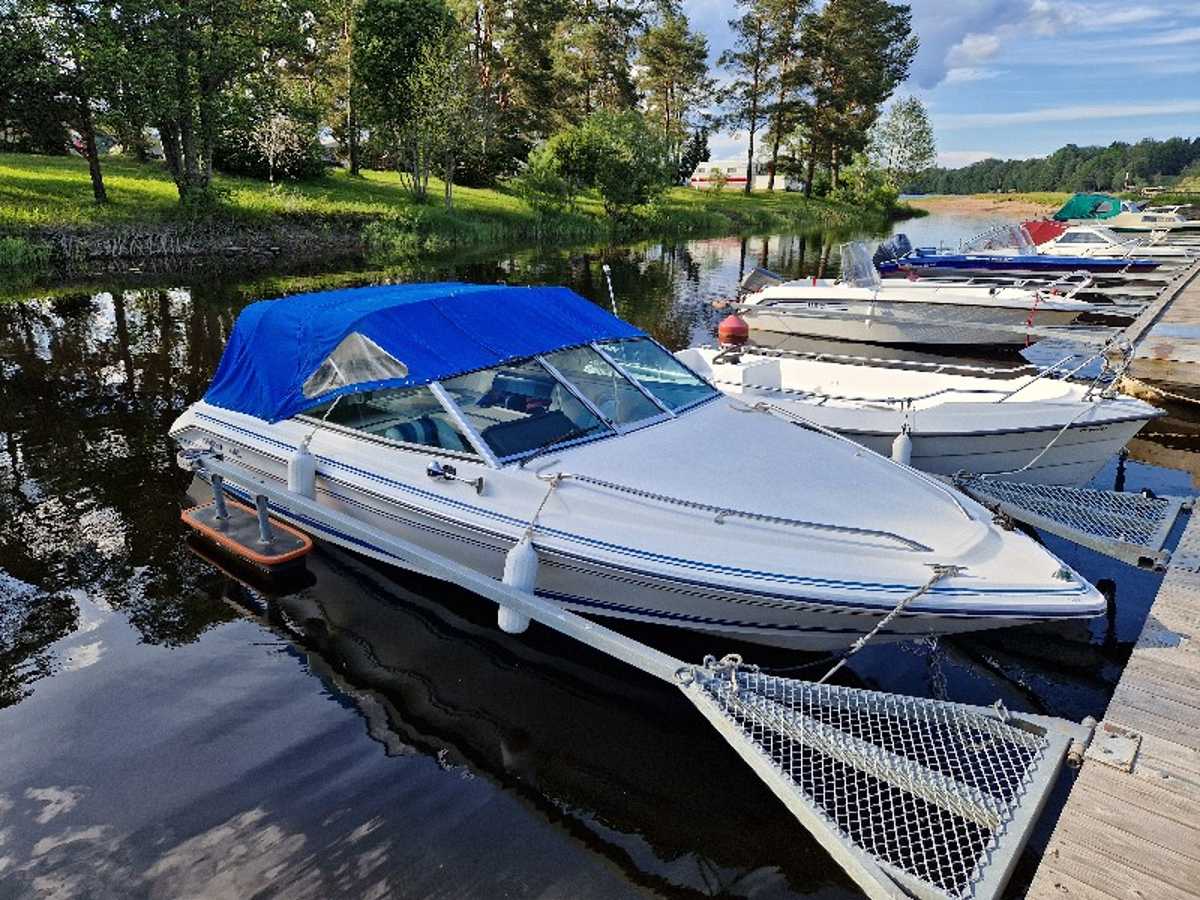 Sea Ray 180 Ski Outboard