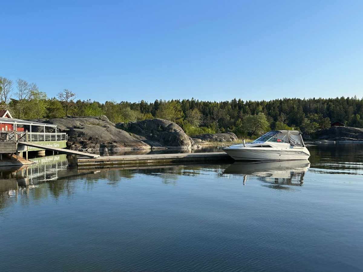 Sea Ray 220 Sundancer