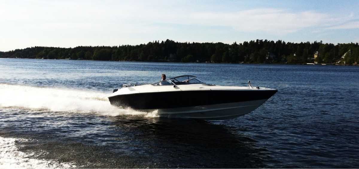 Flipper Flying Flipper