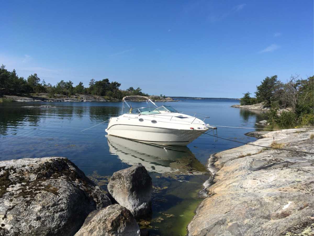 Sea Ray 240 Sundancer