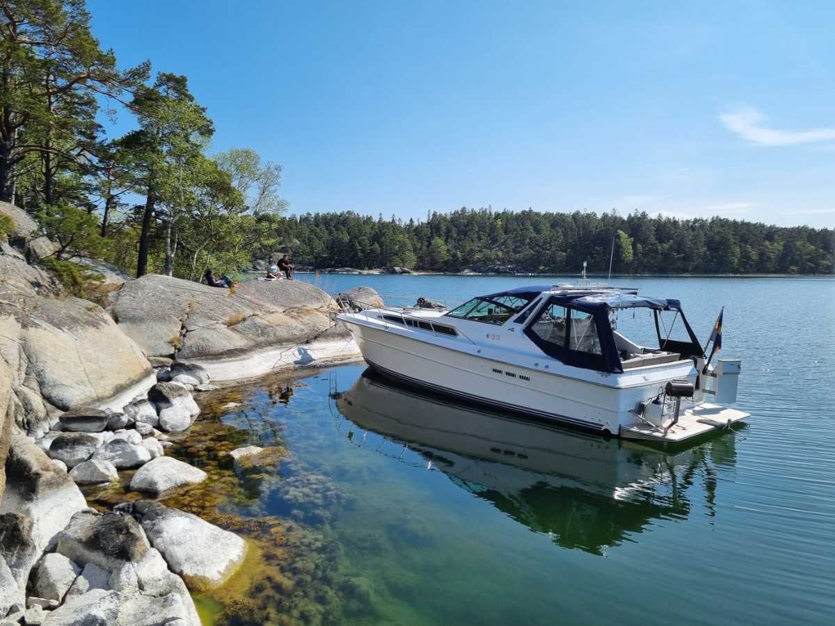 Sea Ray 390 Express Cruiser