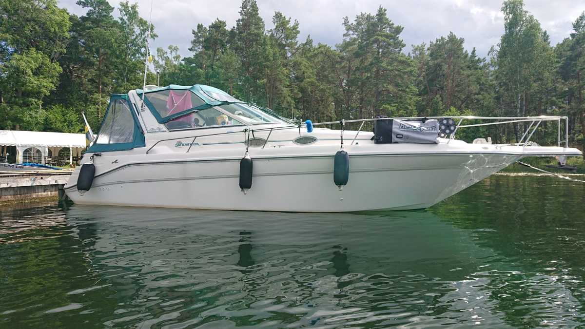 Sea Ray 290