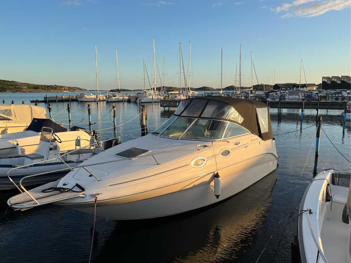 Sea Ray 240 Sundancer