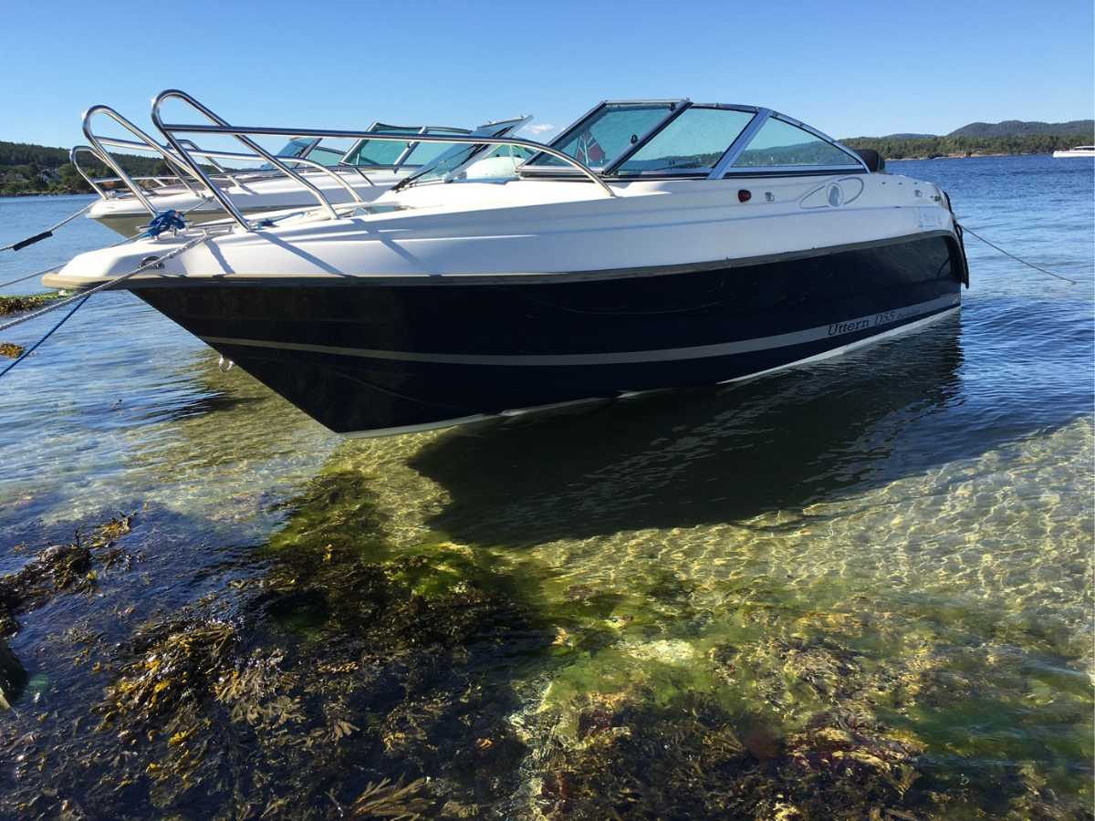 Uttern D55 Exclusive