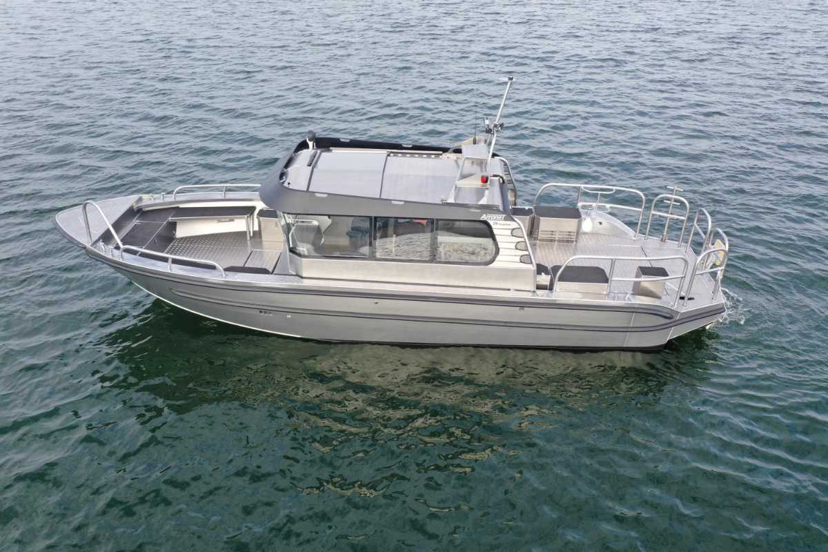 Arronet 28 Surprise I