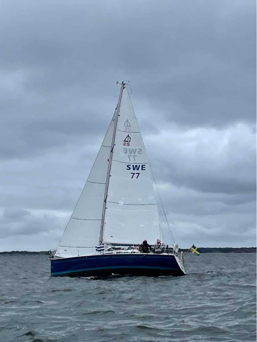 Dehler 29
