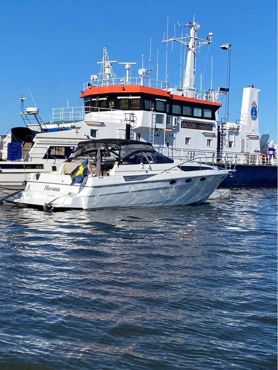Bayliner 3450 Avanti Sunbridge