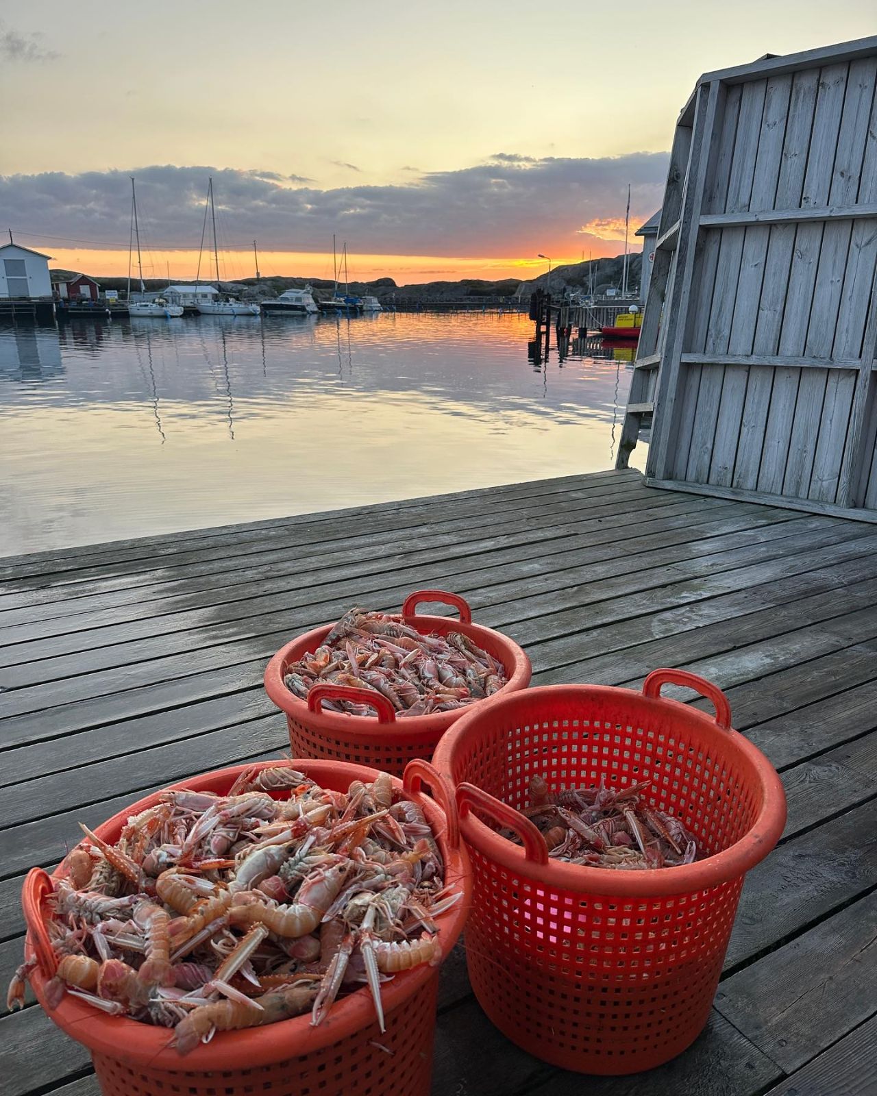 Rörö Fiskeboa & Krog
