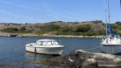 Lammholmen
