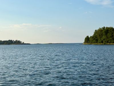 Björkö, Arsläjan