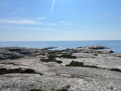 Ulsholmen