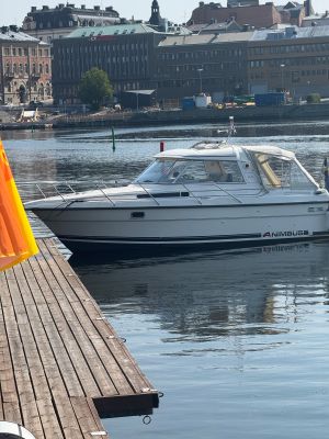 Nattviken