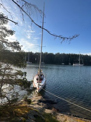 Kolnäsviken