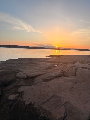 Skogskär