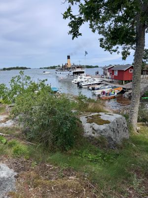 Byviken