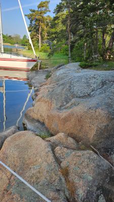 Hemviken