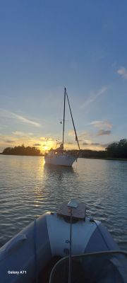 Djursö