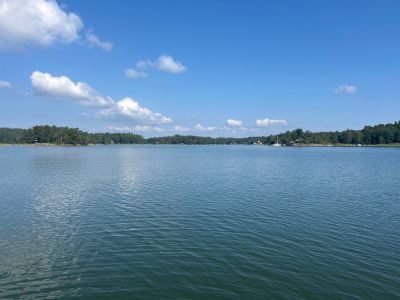 Kolfatet