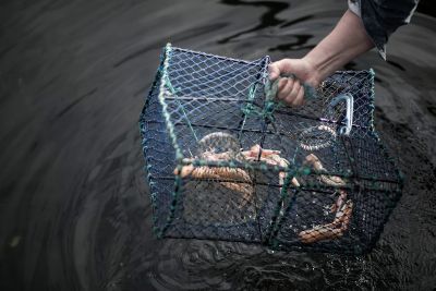 Fiskeboa Donsö