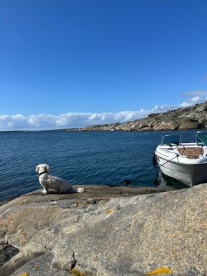 Fjordholmen