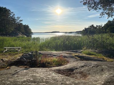 Kalviken