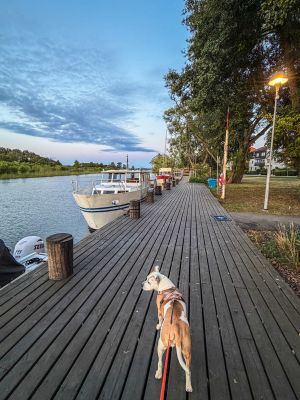 Tappströms Gästhamn