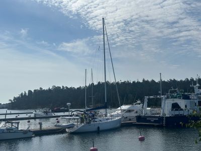 Badhusviken
