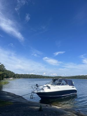 Skomakarviken