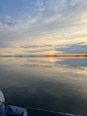 Hemviken
