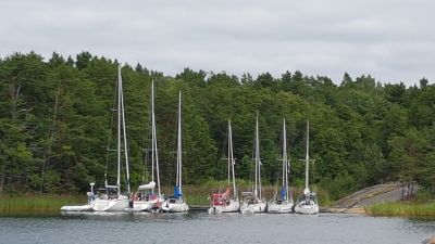 Bockviken