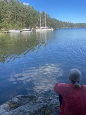 Djäknasundet
