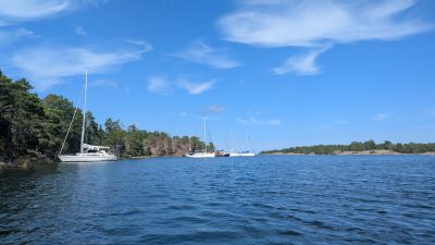 Katsholmarna