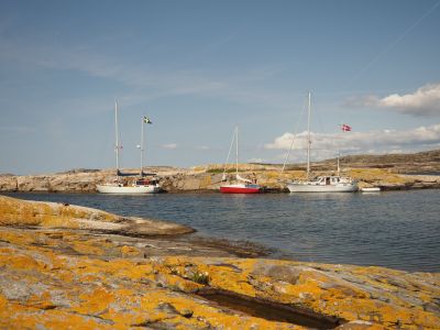 Kråkorna