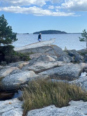 Rögrund