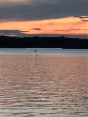 Sandhamn - Telegrafholmen