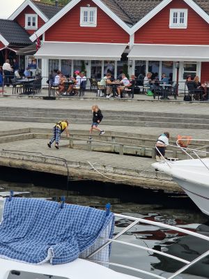 Gjestehavna