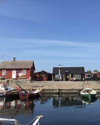 Viken