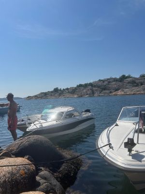 Hälsön