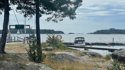 Svärdsklova