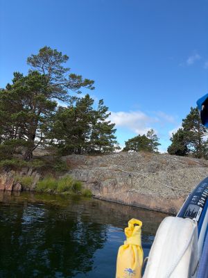 Lindskären