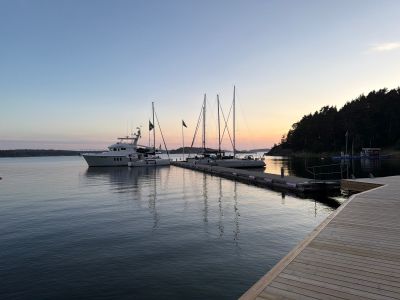 Hemviken