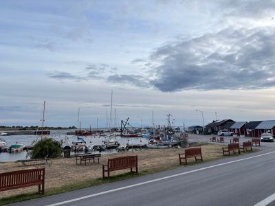 Sandvik