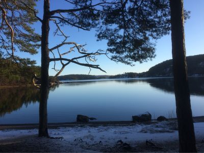 Sandviken