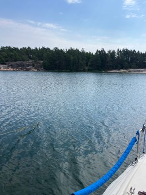 Äspskärsfladen
