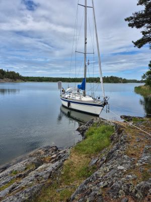 Bruksviken