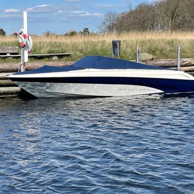Bayliner 2252 Arriva